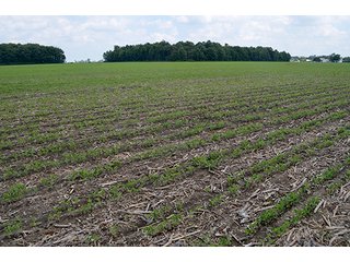 Property photo 75 - LAND AUCTION - 700+/- ACRES OFFERED IN 16 TRACTS IN ALLEN COUNTY, INDIANA